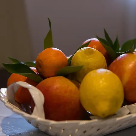 Cetinic * ドゥブロブニク